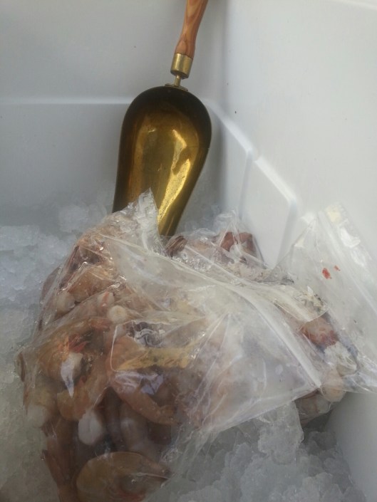 20130831_104409_resized_1