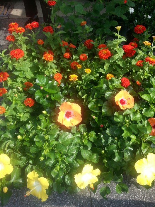 20130831_104654_resized