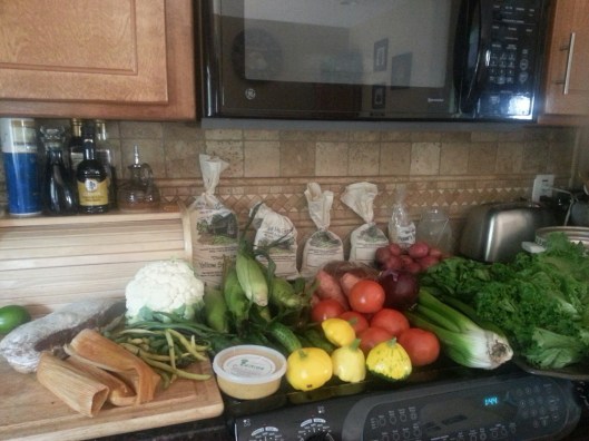 20130831_134456_resized_1