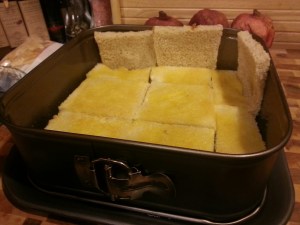 20131127_202455_resized