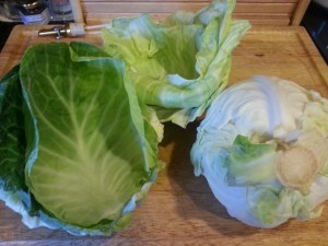 20140223_165349_resized_1