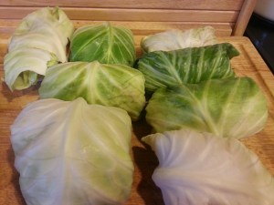 20140223_181452_resized_1