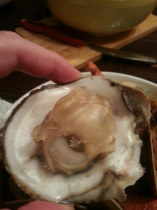 20140423_203520_resized