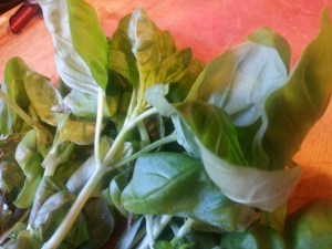 20140519_181302_resized