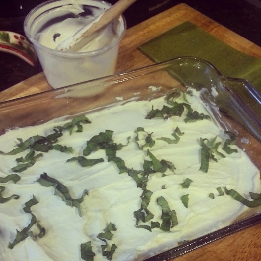 IMG_20150120_174008_resized