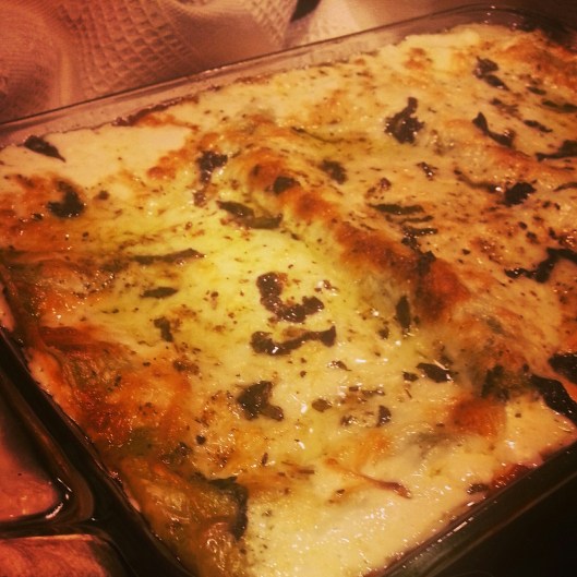 IMG_20150120_183750_resized