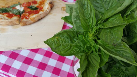 20151024_173536_resized