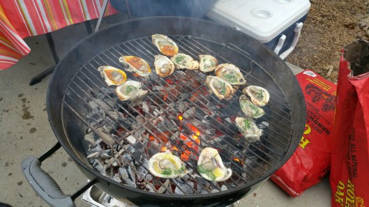 20151024_174409_resized