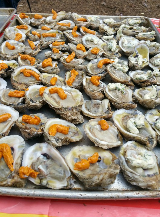 20151024_174423_resized