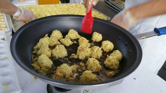 20151024_180313_resized