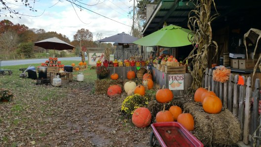 20151104_111011_resized_3