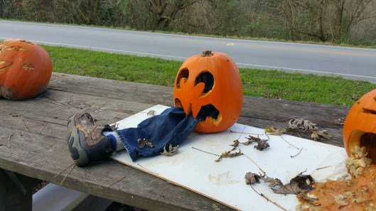 20151104_111050_resized_3