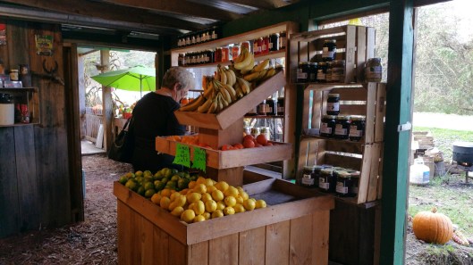 20151104_111204_resized