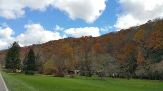 20151104_121257_resized