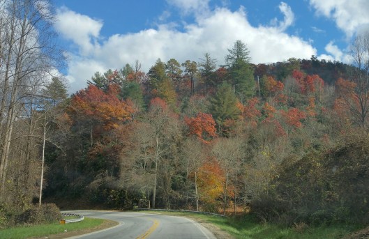 20151104_121511_resized