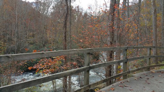 20151104_121825_resized_2