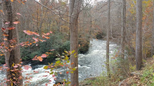 20151104_121849_resized_3