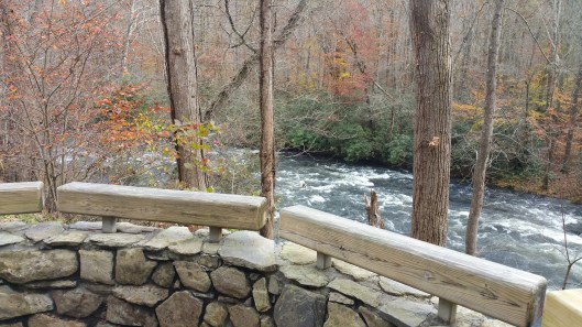 20151104_121938_resized_3