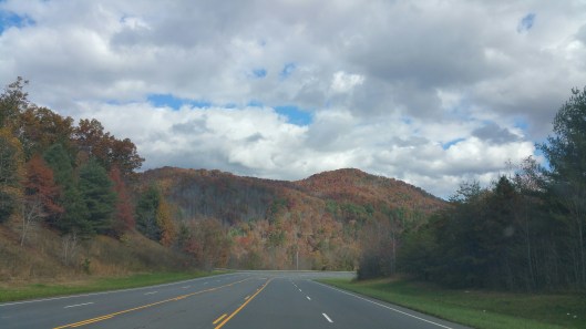 20151104_125504_resized