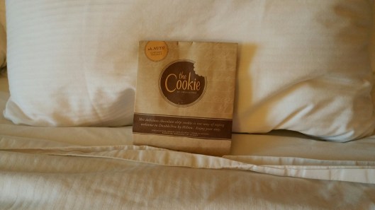 20151104_171018_resized