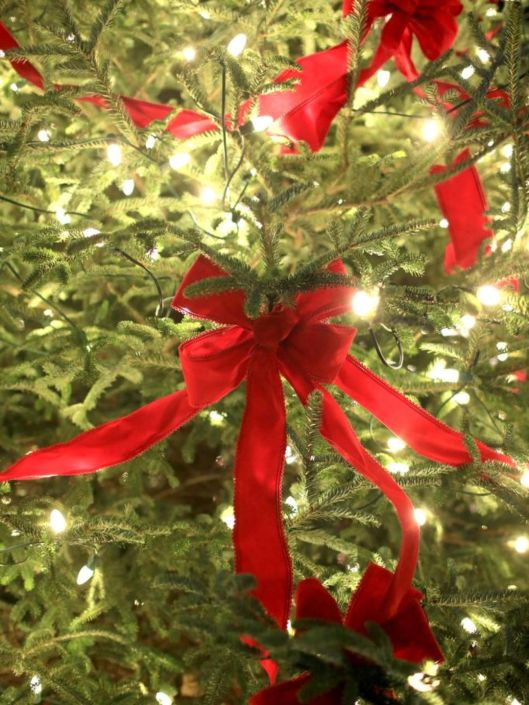 635534104972735857-2014BiltmoreVillageXmas22