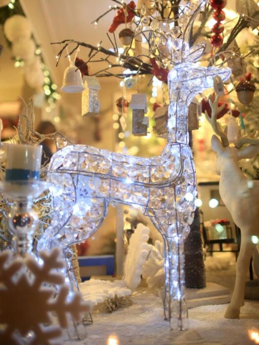 635534104977586148-2014BiltmoreVillageXmas35