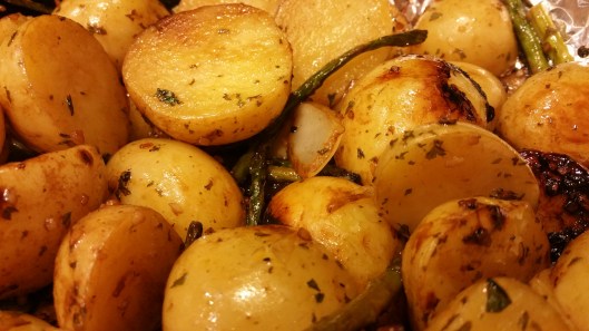 20151115_172641_resized_1