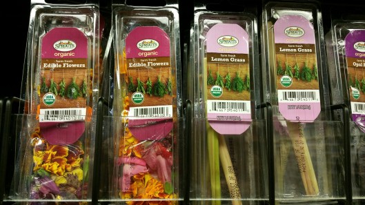 20151231_123203_resized_2