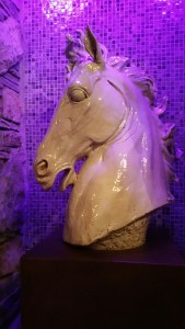 20151105_192215_resized