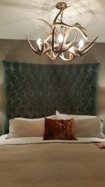 20151105_193351_resized_1