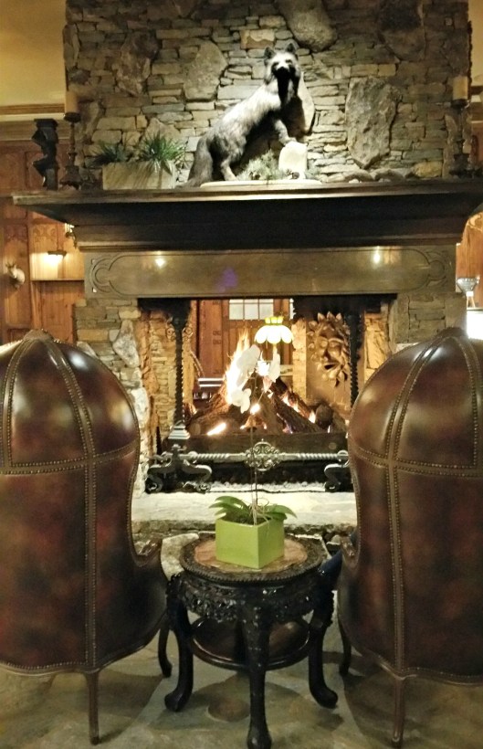 20151105_194204_resized_1