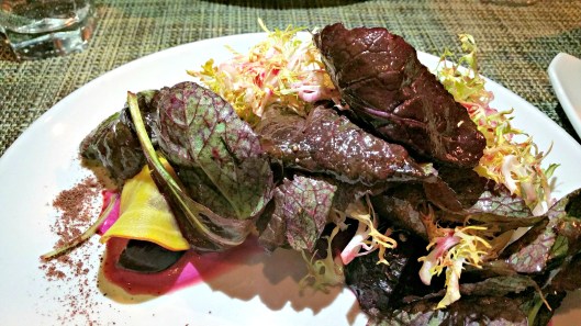 20160114_193113_resized