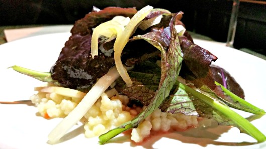 20160114_203600_resized