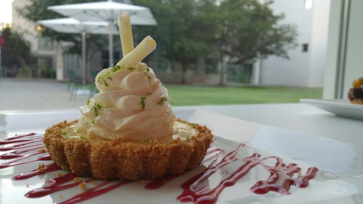 20160629_200526_1469038906948_resized