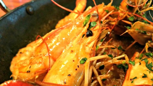 20160728_121706_1471443669435_resized