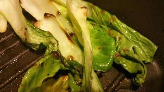 20160819_212721_1472595371498_resized