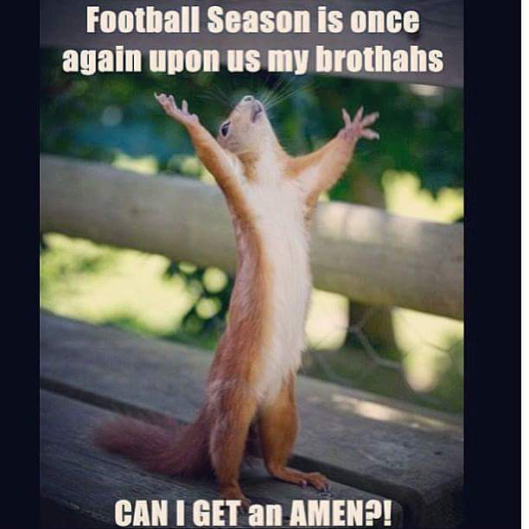 Football squirrel