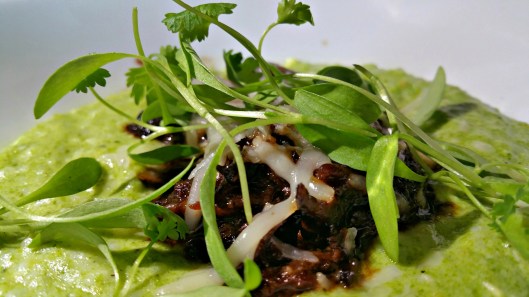 20160820_173800_1475168192127_resized