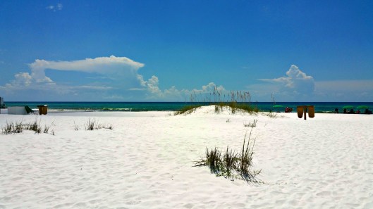 20160826_123714_1486434078884_resized